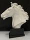 Meissen Porcelain Horse Bust