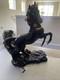 Nib Unicorn Horse Porcelain Ceramic Midsummers Night Princeton Gallery Lenox 3d