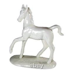 Nymphenburg Foal Glossy White Porcelain Horse Figurine by August Gohring
