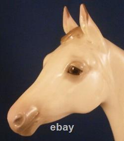 Nymphenburg Porcelain Arabian Horse Figure Figurine Porzellan Figur Stallion #2