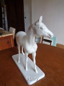 Nymphenburg Porcelain Germany White Horse Figurine