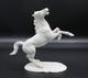 Nymphenburg White Porcelain Rearing Arabian Horse Figurine #800 August G&ouml;hring