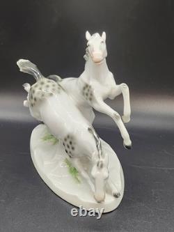 Old Bock Wallendorf Horse Figure Porcelain Lipizzaner Horses