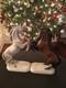 Pair Of Porcelain Horses By Goebel. Best Christmas Gifts For Horse Lovers