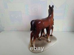 Porcelain figurine of a Horse. A pair of foals. Horses. GDR. Hertwig Karzhutte