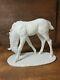 Rare Kaiser Wolfgang Gawantka White Porcelain Horse Grazing Foal Figurine #666