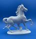 Rosenthal Germany Porcelain Figurine Of A Prancing Horse Model 1136 By Karner