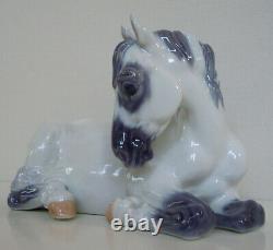 ROYAL COPENHAGEN Pferd Pony Lippizaner 5690 Jeanne Grut PORCELAIN FIGURINE HORSE