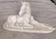 Rare Exquisite Rosenthal Lying Down Foal, 1939, By Albert Hinrich Hussmann 1719