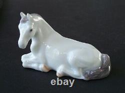 Rare Limited Royal Copenhagen Porcelain Lipizzaner Horse Figurine 1020174 in Box