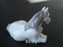 Rare Limited Royal Copenhagen Porcelain Lipizzaner Horse Figurine 1020174 in Box