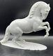 Rare Rosenthal Porcelain Horse Designed By T. Karner Made In Germany