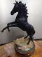 Rare! Royal Doulton Cancara The Black Horse Horse