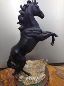 Rare! Royal Doulton CANCARA THE BLACK HORSE horse