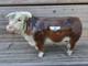 Rare Vintage 1954 Large Hagen-renaker Designers' Workshop Hereford Bull Domino