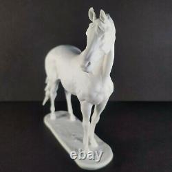 Rare Vintage'Asta' Kaiser Porcelain Horse No. 643- Signed By WOLFGANG GAWANTKA