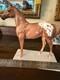 Rare And Htf Pour Horse Pottery Red Okie Clay Porcelain 7 Excellent