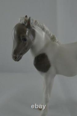 Royal Copenhagen Horse Figurine Standing Foal Ref. 4653