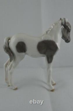 Royal Copenhagen Horse Figurine Standing Foal Ref. 4653