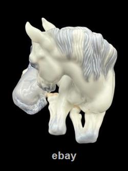 Royal Copenhagen Mare & Foal Porcelain Figurine #4698 Glazed Germany