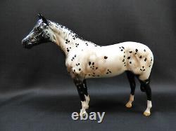 Royal Doulton Appaloosa Horse Figurine Glossy Finish