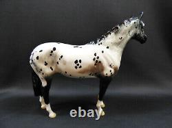 Royal Doulton Appaloosa Horse Figurine Glossy Finish