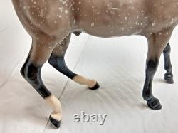 Scarce 1991 Breyer Galaxias CofA LTD Cold Cast Porcelain Prancing Arabian Dapple
