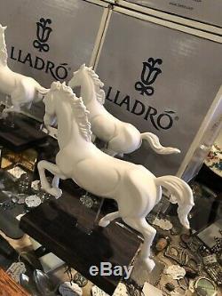 Set of Four Lladro White Porcelain Horse Figurines Gallop I II III IV Spain