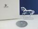 Swarovski New Silver Crystal Arabian Stallion Horse Figurine 221609 Rare In Box