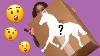 This Model Horse Unboxing Will Shock You