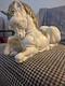 Very Rare Vintage Nora Fenton Italian Majolica Unicorn Horse With Lions' Tail