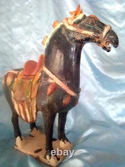 Vintage 14 Chinese Tang Dynasty-style Sancai Glazed Pottery Horse Figurine