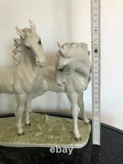 Vintage 20th original Germany Hutschenreuther The Foal Porcelain Figurine MARKED