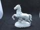 Vintage 6 Porcelain Horse August Gohring Extremely Rare Figurine