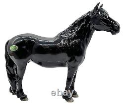 Vintage Beswick Porcelain Glossy Black Fell Pony Stallion Dene Dauntless