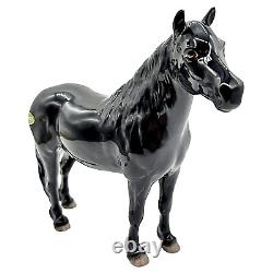 Vintage Beswick Porcelain Glossy Black Fell Pony Stallion Dene Dauntless