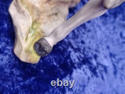 Vintage Cybis Porcelain Grey Dapple Galloping Stallion Horse Signed