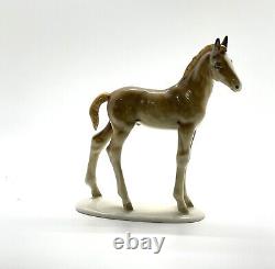 Vintage Hutschenreuther Porcelain Chestnut Foal Horse Figurine 1960 Germany