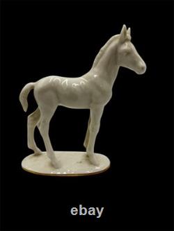 Vintage Hutschenreuther Selb Porcelain Horse Foal Figurine Max Fritz Germany
