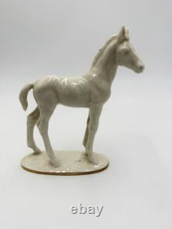 Vintage Hutschenreuther Selb Porcelain Horse Foal Figurine Max Fritz Germany