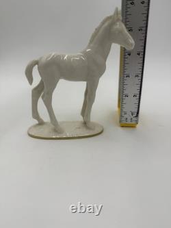 Vintage Hutschenreuther Selb Porcelain Horse Foal Figurine Max Fritz Germany