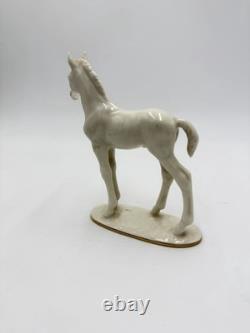 Vintage Hutschenreuther Selb Porcelain Horse Foal Figurine Max Fritz Germany