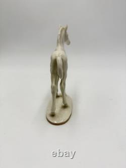 Vintage Hutschenreuther Selb Porcelain Horse Foal Figurine Max Fritz Germany