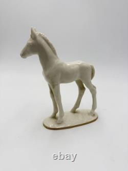 Vintage Hutschenreuther Selb Porcelain Horse Foal Figurine Max Fritz Germany