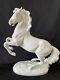 Vintage Porcelain Augarten Lippizaner Stallion Horse Statue Made In Austria