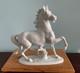 Vintage Rosenthal Germany T. Karner White Prancing Horse Porcelain # 1136 Dsva