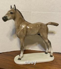 Vintage Rosenthal Porcelain 10 Horse/colt Figurine Albert Hinrich Hussmann