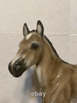 Vintage Rosenthal Porcelain 10 Horse/colt Figurine Albert Hinrich Hussmann