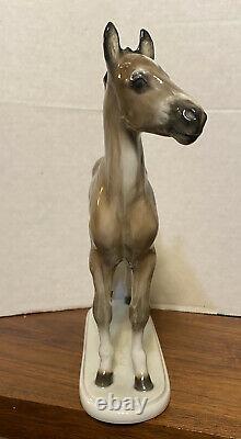 Vintage Rosenthal Porcelain 10 Horse/colt Figurine Albert Hinrich Hussmann