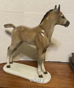 Vintage Rosenthal Porcelain 10 Horse/colt Figurine Albert Hinrich Hussmann